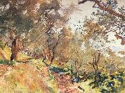 John Singer Sargent Trees on the Hillside at Majorca oil painting artist